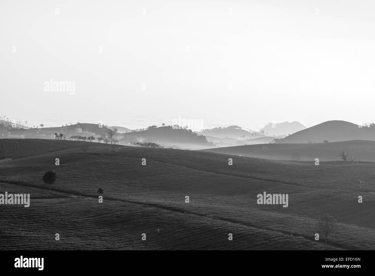 Moc Chau Stadt Morgen am 26. März 2015 in Son la Provinz, Vietnam Stockfoto