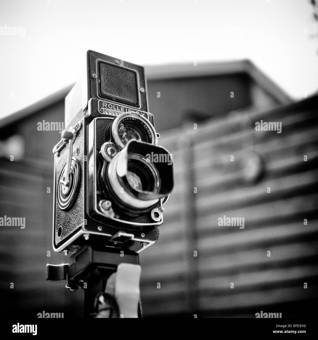 Rolleiflex Twin Lens Reflexkamera Stockfoto