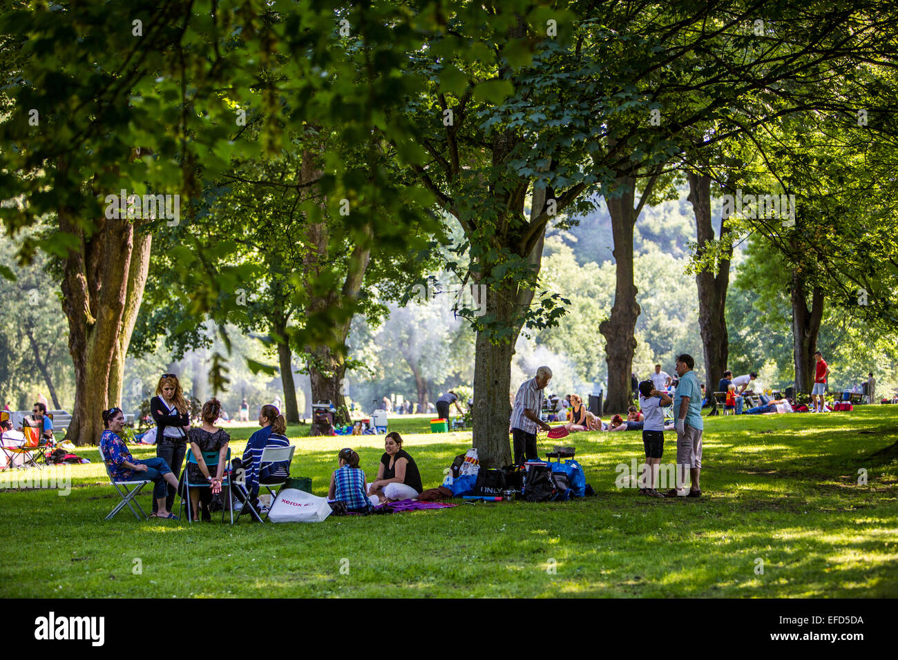 Park am Ufer des Flusses Ruhr Essen, Deutschland, Erholungsgebiet im Sommer, BBQ-Platz, Stockfoto