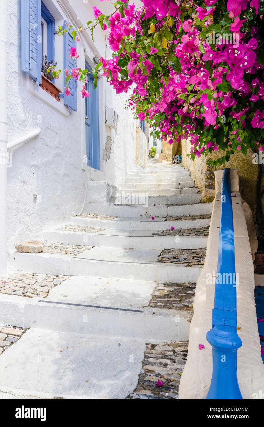 Bougainvillea weiß getünchten überhängenden Schritte in Ano Syros Syros Insel, Kykladen, Griechenland Stockfoto