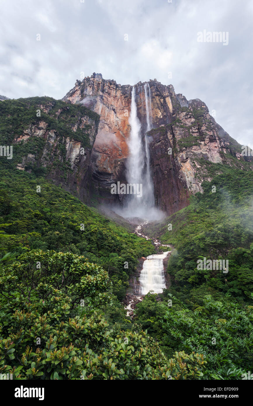 Angel Falls, Venezuela. Stockfoto