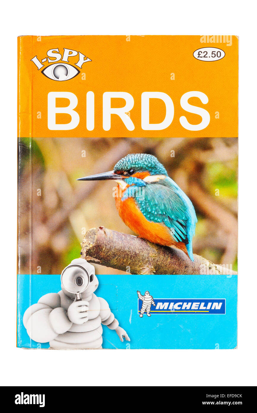 Die Vögel Vogelbuch Spion auf weißem Hintergrund Stockfoto