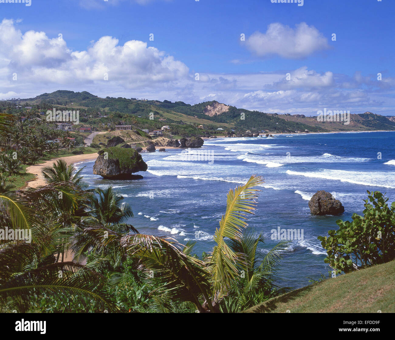 Saint joseph barbados Fotos und Bildmaterial in hoher Auflösung Alamy