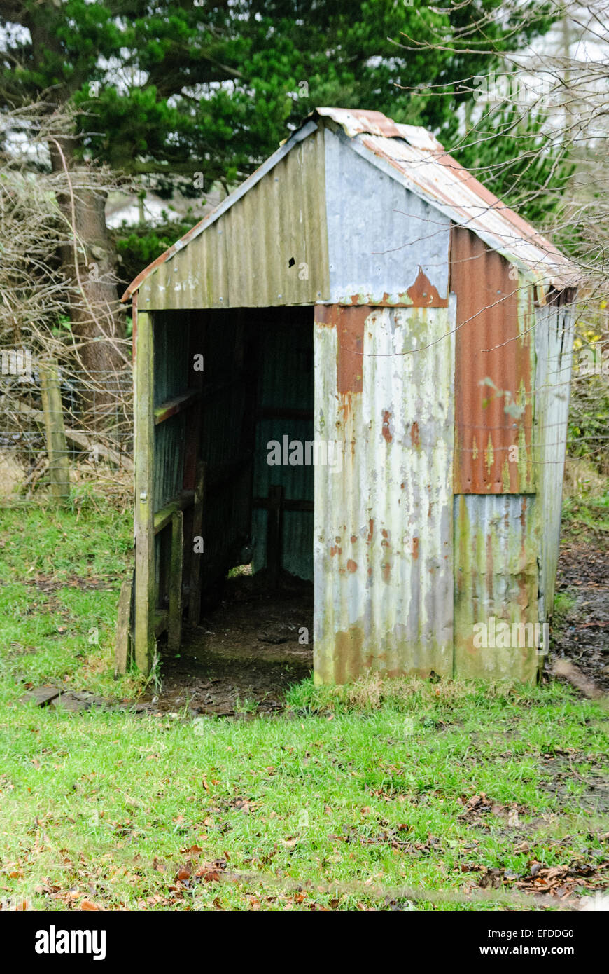 Stall/Hütte gemacht aus Wellblech Stockfoto
