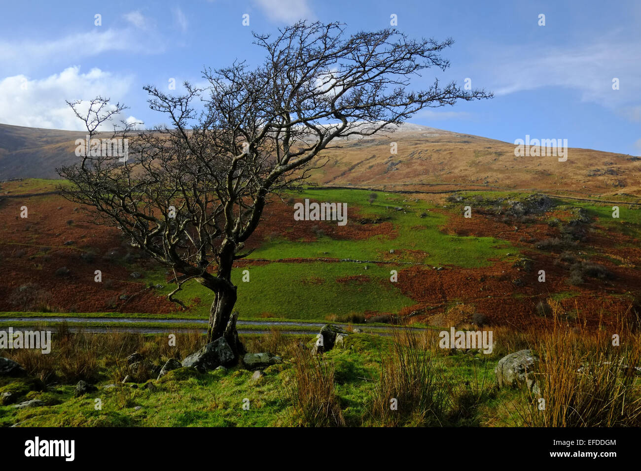 Im Winter geht es auf Cadair Idris Stockfoto