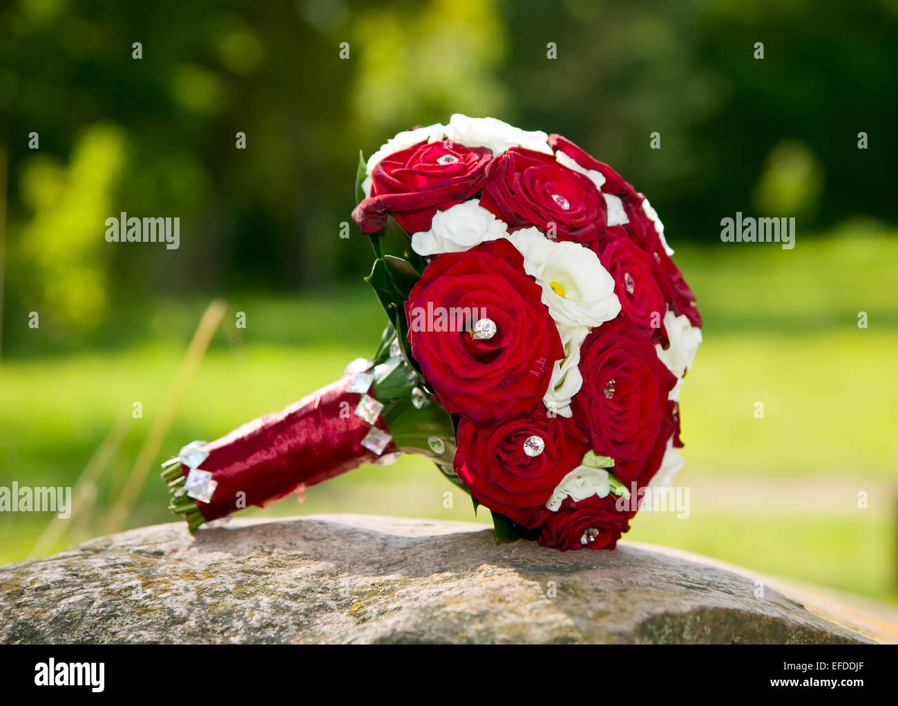 Schöne rote und weiße Rosen für Hochzeit Stockfoto