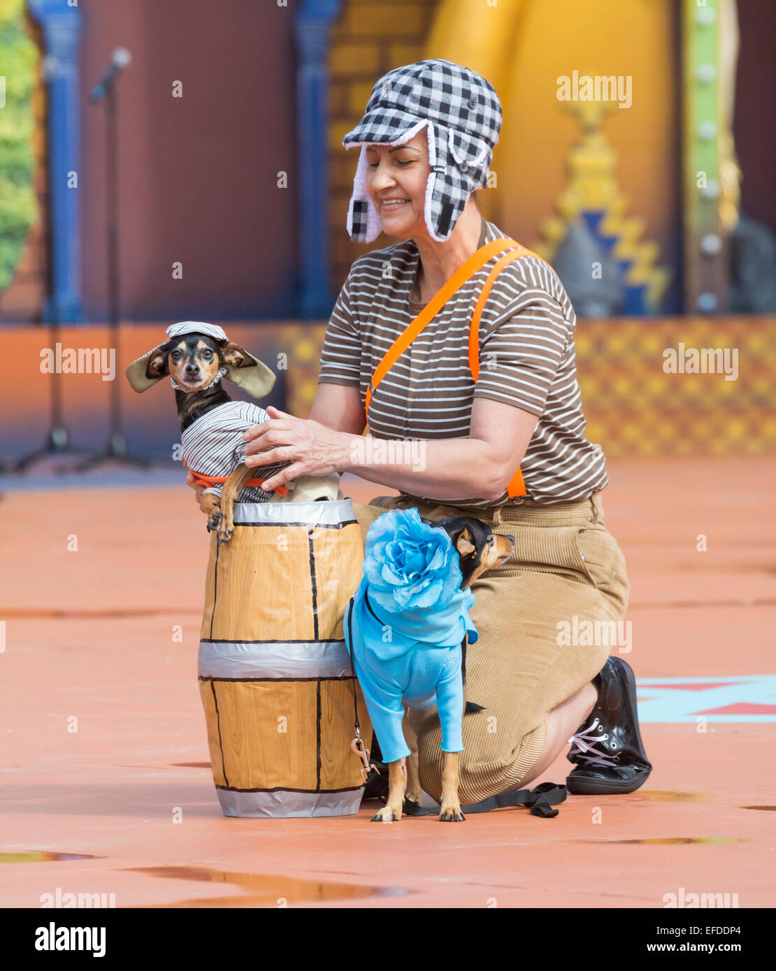 Tag des Hundes Kostüm im Karneval von Las Palmas auf Gran Canaria. Kanarische Inseln, Spanien Stockfoto