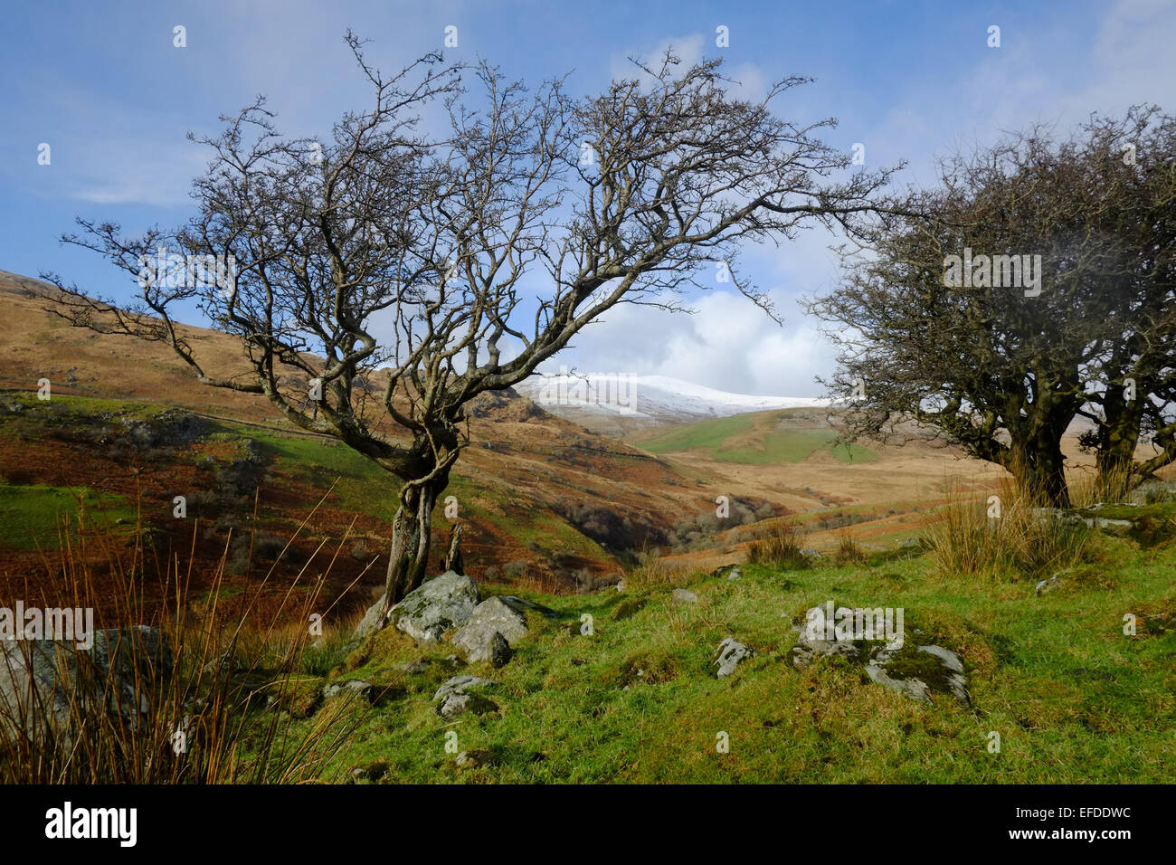 Im Winter geht es auf Cadair Idris Stockfoto