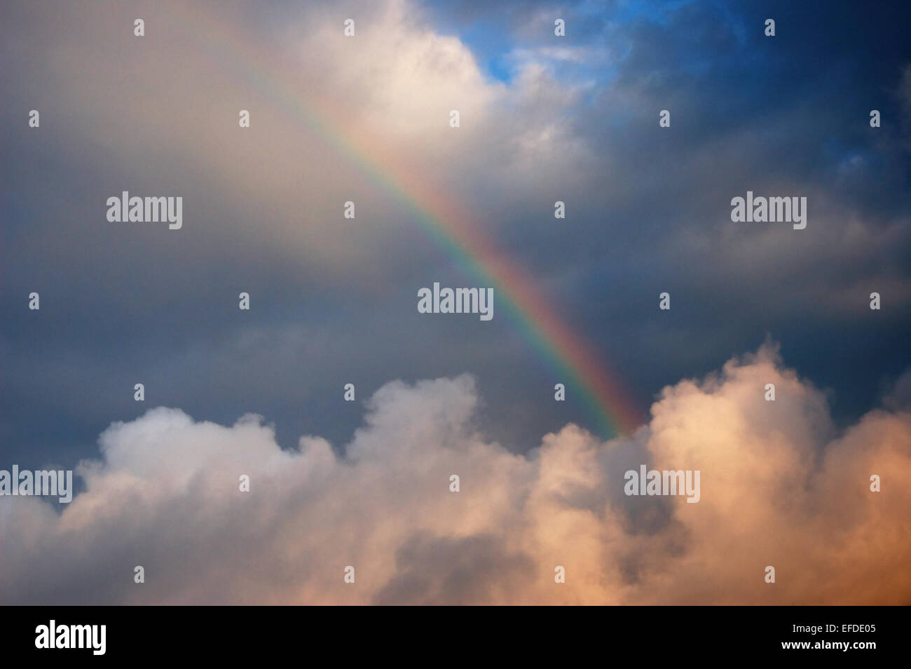Regenbogen nach dem Regen Stockfoto