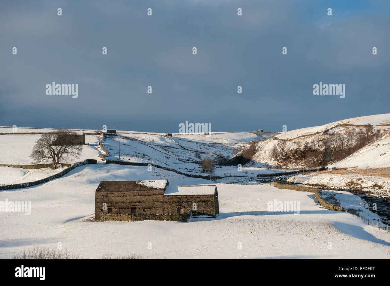 Traditionellen steinernen Scheunen im oberen Swaledale nach einem Schnee Sturm, Yorkshire Dales, UK. Stockfoto