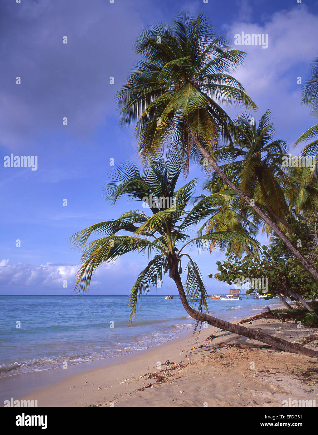 Pigeon Point, Tobago, Trinidad und Tobago, kleine Antillen, Karibik Stockfoto