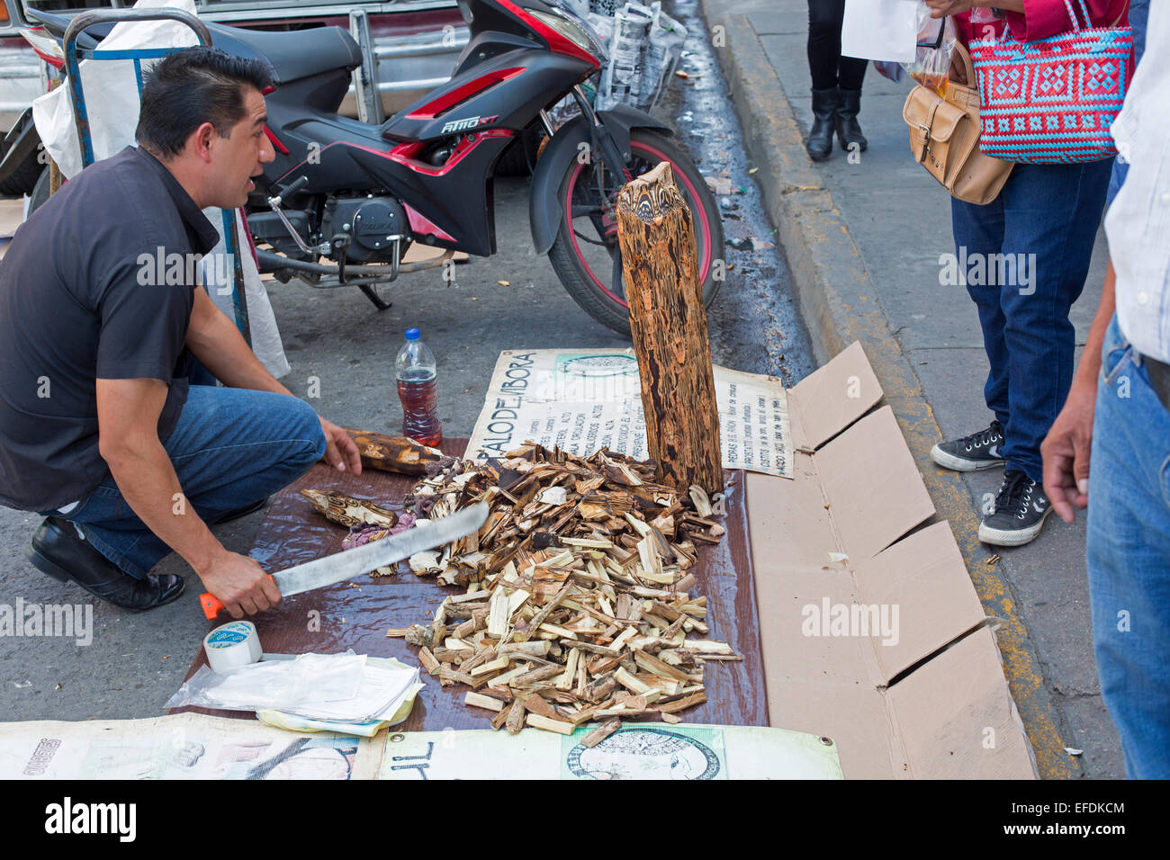 Oaxaca, Mexiko - ein Mann verkauft Palo de Víbora (Cyathea Divergens) auf der Straße. Es ist als Heilpflanze. Stockfoto