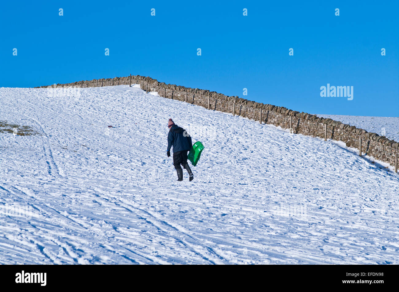 Seenplatte, Cumbria, UK. 1. Februar 2015. UK-Wetter: Nach dem letzten Schneefall, an einem sonnigen aber bitterkalten Tag stapft ein Mann bergauf mit seinem Schlitten an einem Hang ausgefahrenen mit Tracks gemacht durch die vielen Schlittenbahnen, die hier heute stattgefunden haben. Die Fjälls, in der Nähe von Caldbeck, Lake District, Cumbria, England UK. Bildnachweis: Julie Fryer/Alamy Live-Nachrichten Stockfoto