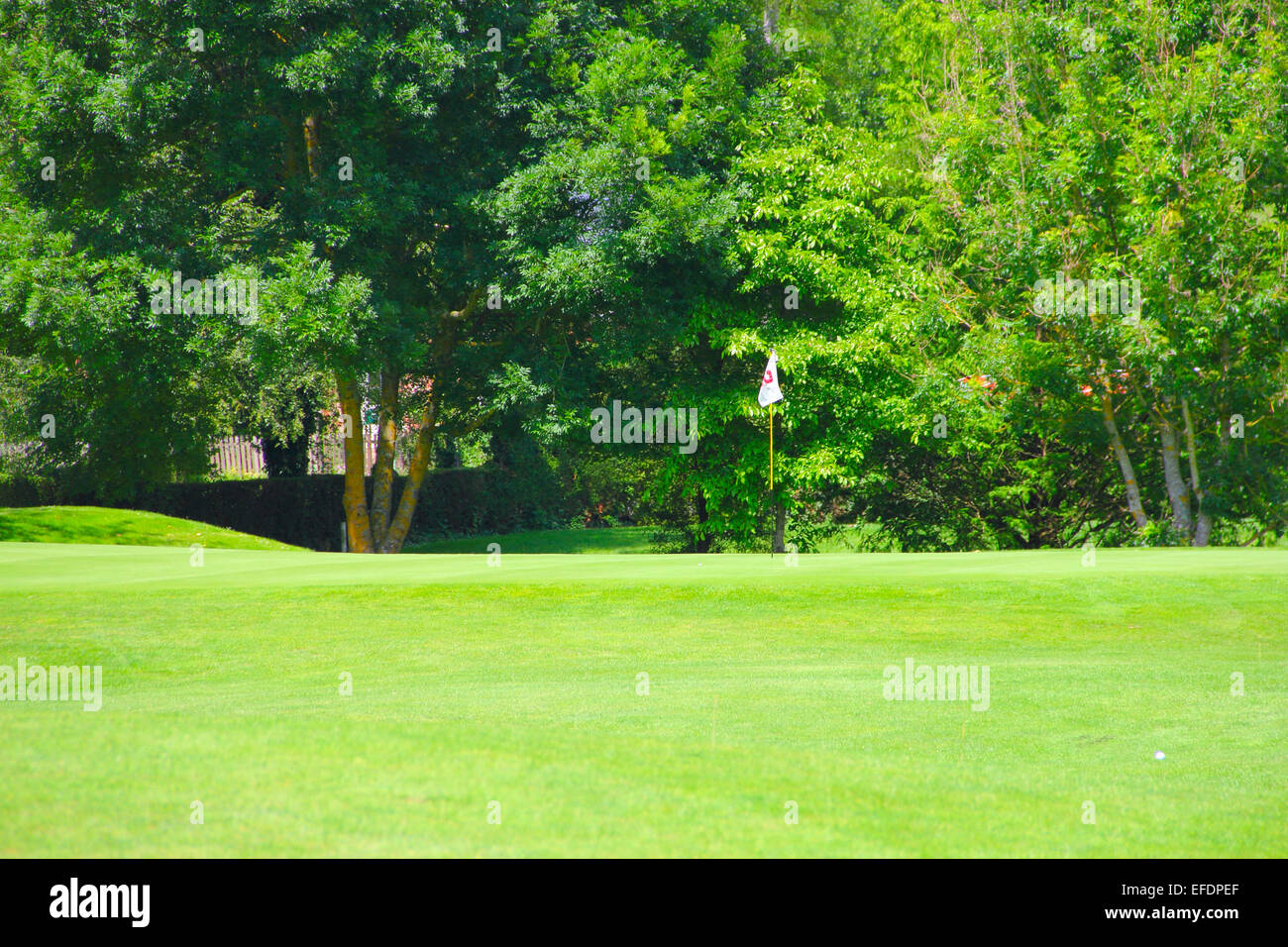 Golf-Flag auf Feld und Bäume auf Grund Stockfoto