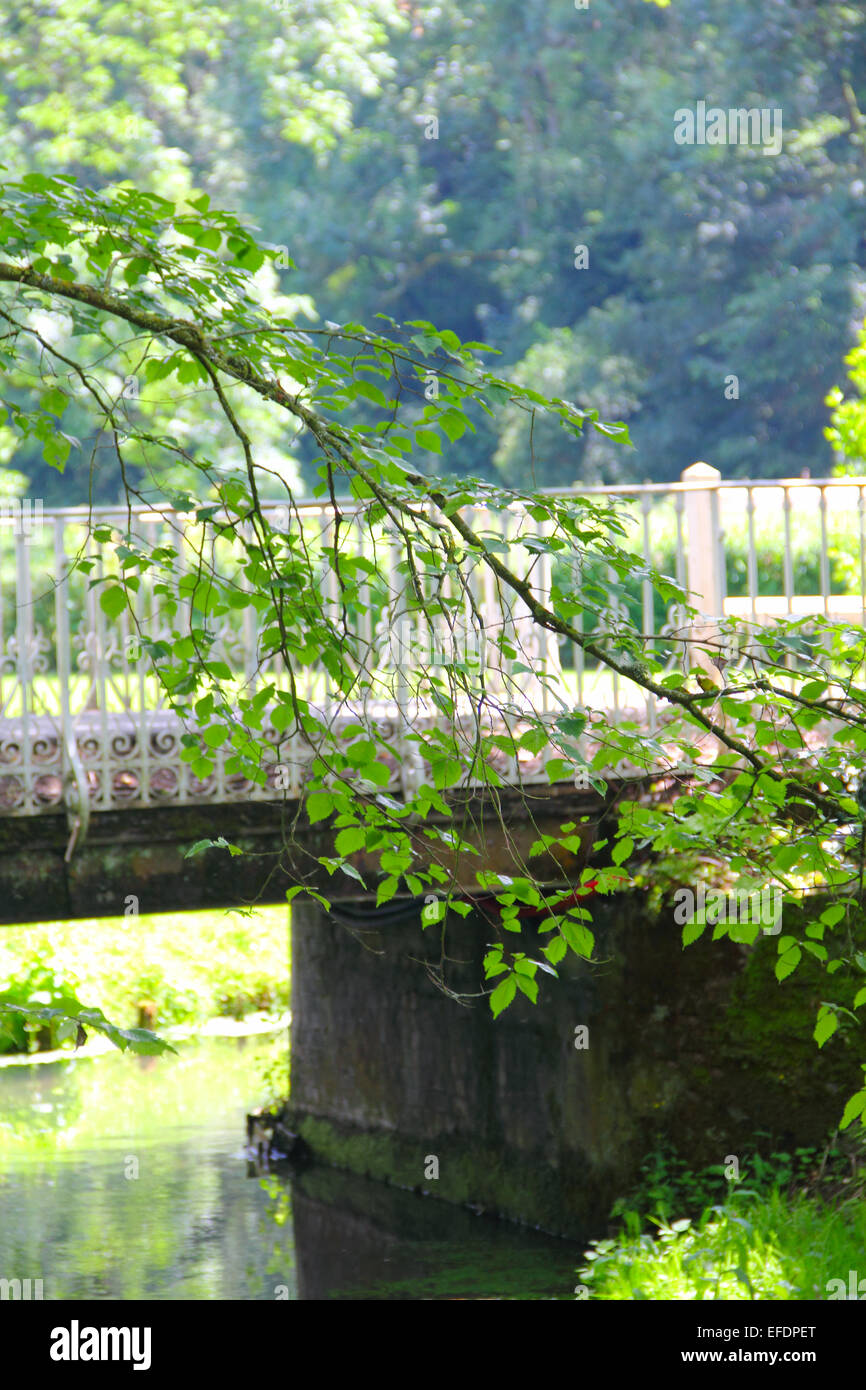 Kleine Brücke über einen Bach im sonnigen Sommerpark Stockfoto