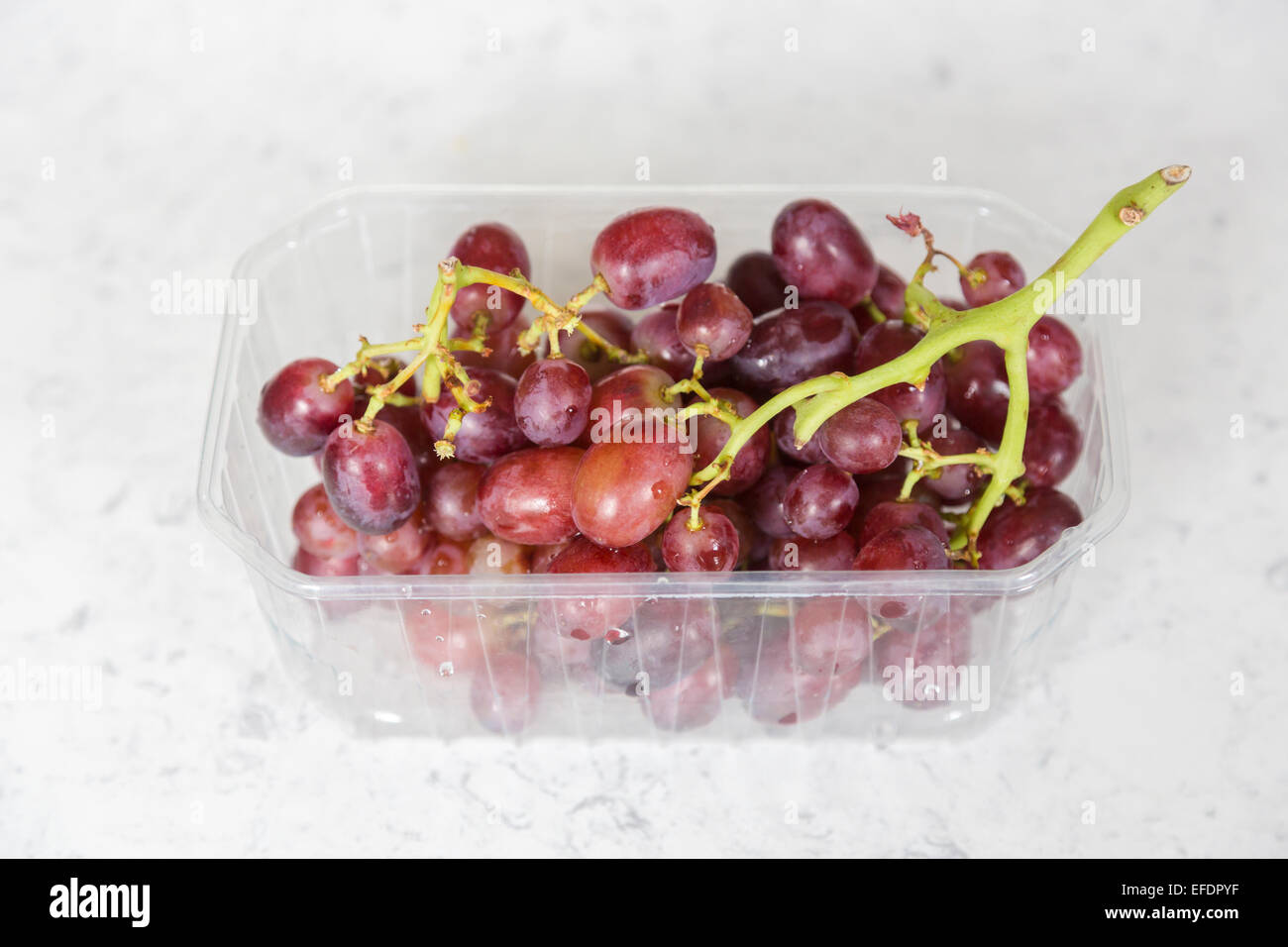 Gesunde Frucht mit Antioxidantien: einen großen Bund frische, reife rote Trauben in einem offenen Behälter aus klarem Kunststoff Verpackung bereit für Essen Stockfoto