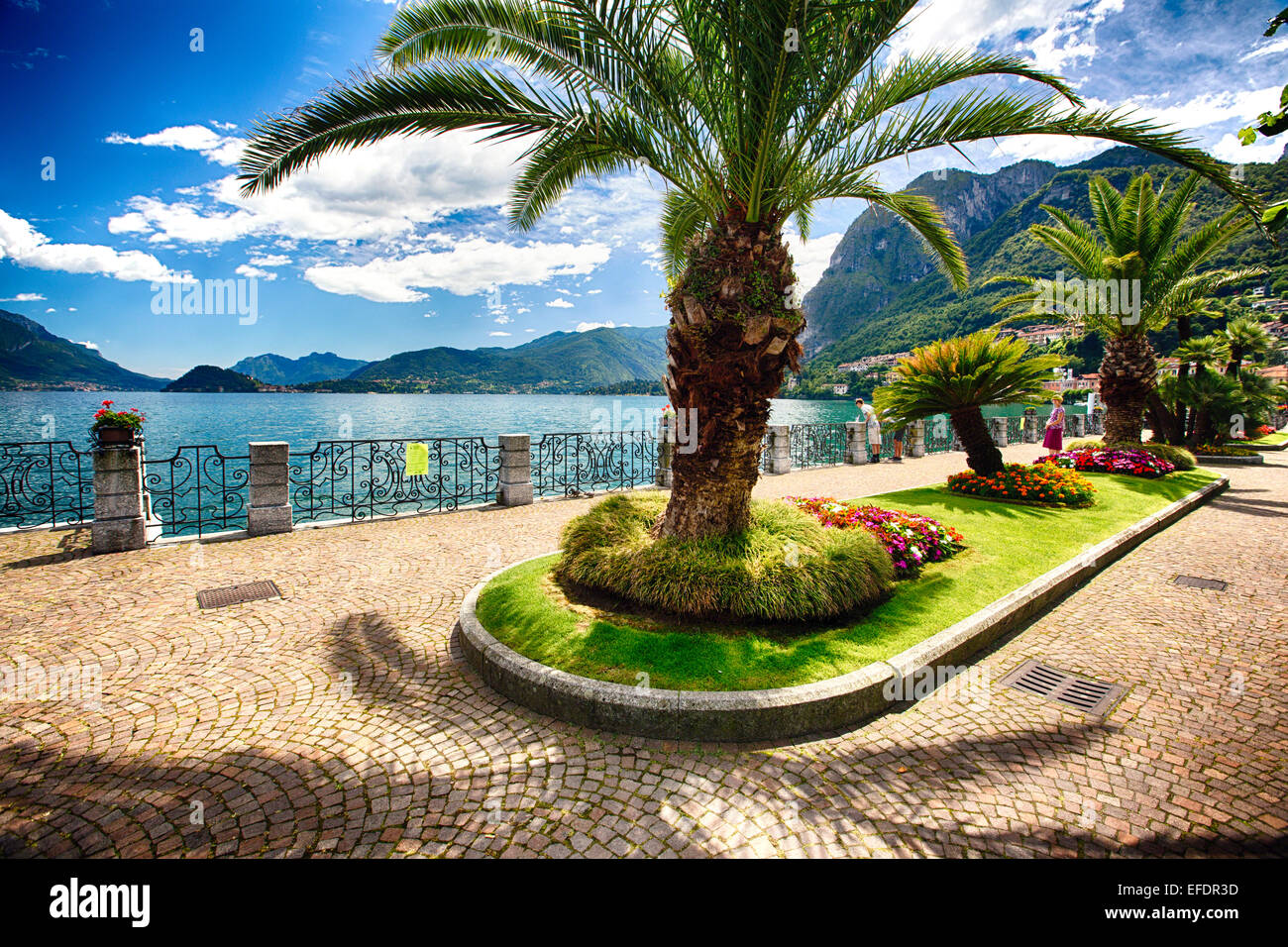 Blick auf eine Seeufer-Promenade mit Palmen und Blumen, Menaggio, Provinz Como, Comer See, Lombardei, Italien Stockfoto
