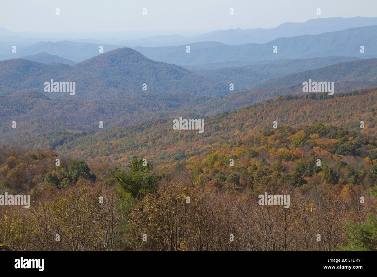 Malerische Aussicht mit Blick auf den malerischen Appalachen gekleidet in herbstlichen Farben, Max Patch, North Carolina Stockfoto