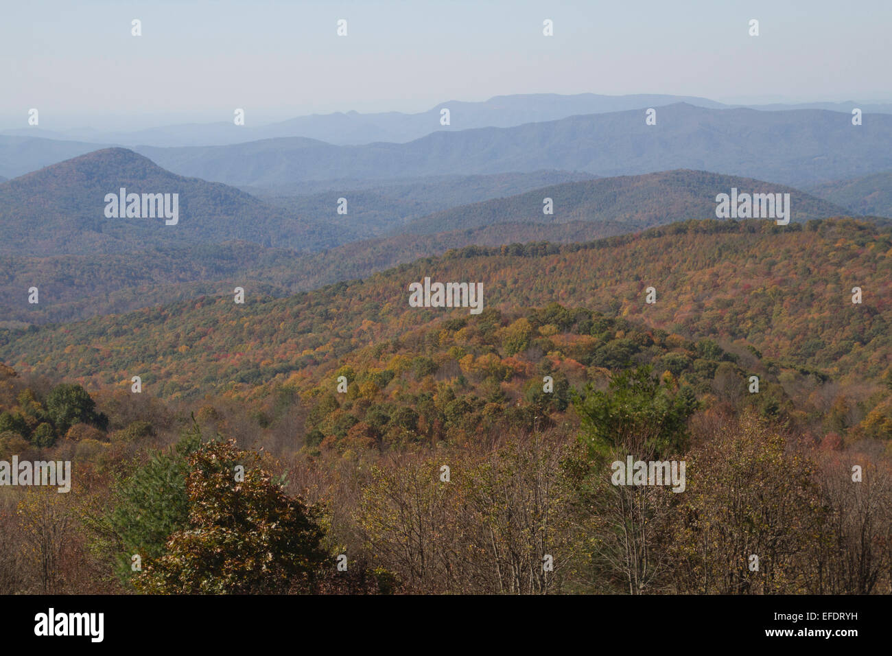 Malerische Aussicht mit Blick auf den malerischen Appalachen gekleidet in herbstlichen Farben, Max Patch, North Carolina Stockfoto