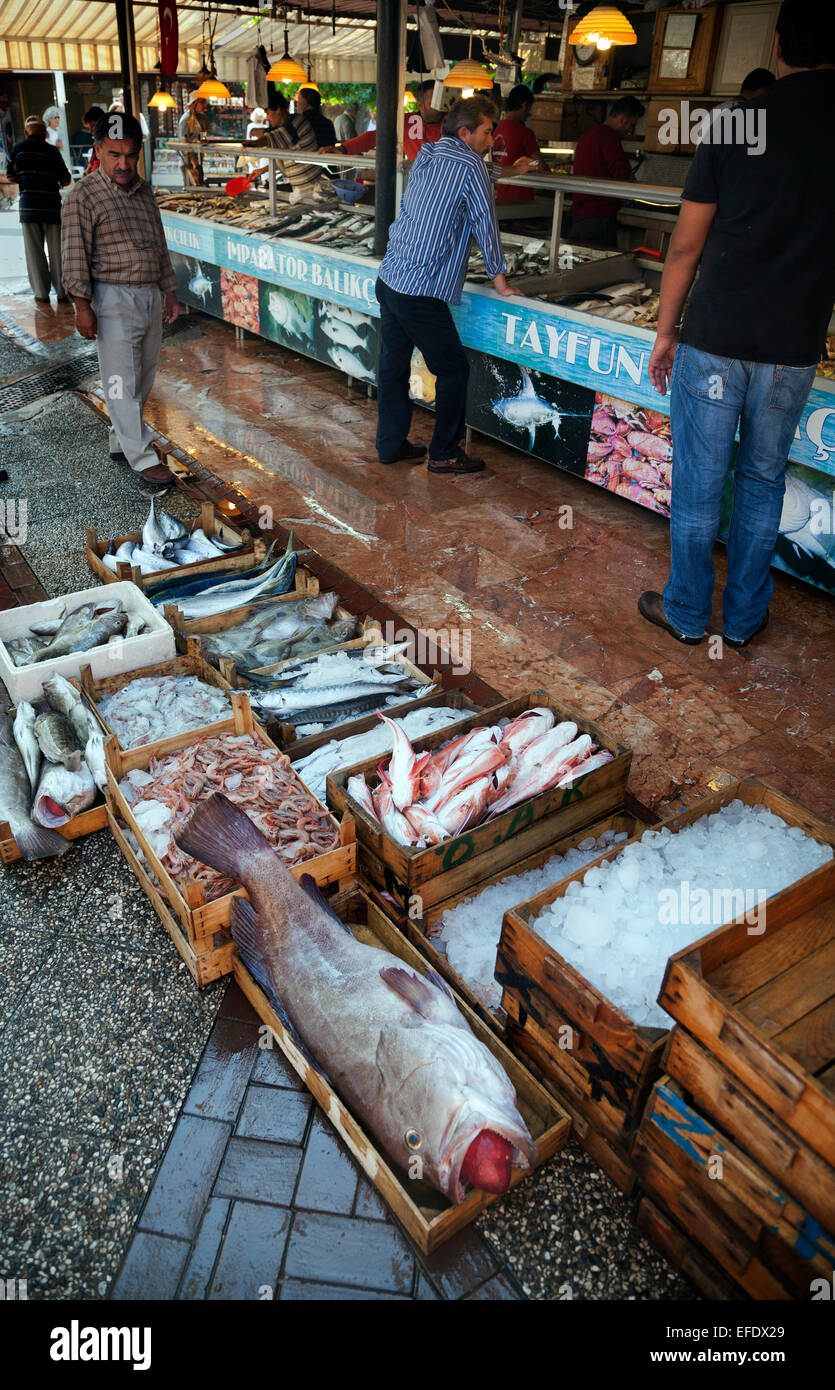 Fisch in Eis in Holzkisten und Boxen türkische Fischmarkt Fethiye Türkei zu verkaufen Stockfoto