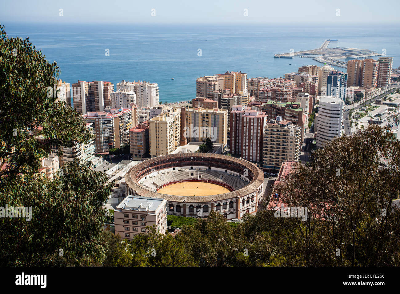 Hafen von Málaga Skyline Stierkampfarena und Mittelmeer, niedrigen Horizont blauen Himmel und Meer, umrahmt von Bäumen Stockfoto