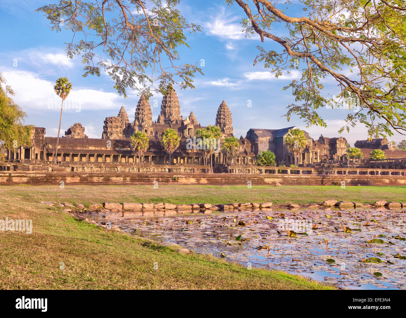 Angkor Wat Tempel spiegelt im See mit Blumen Stockfoto