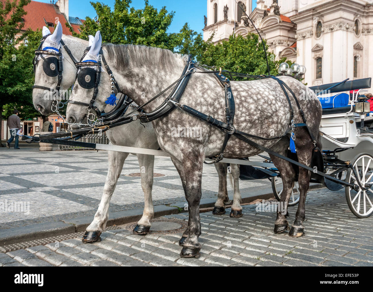 Tschechien, Prag, Old Place. Pferdekutsche für Wanderungen und Ausflüge in den Straßen von Prag. Stockfoto