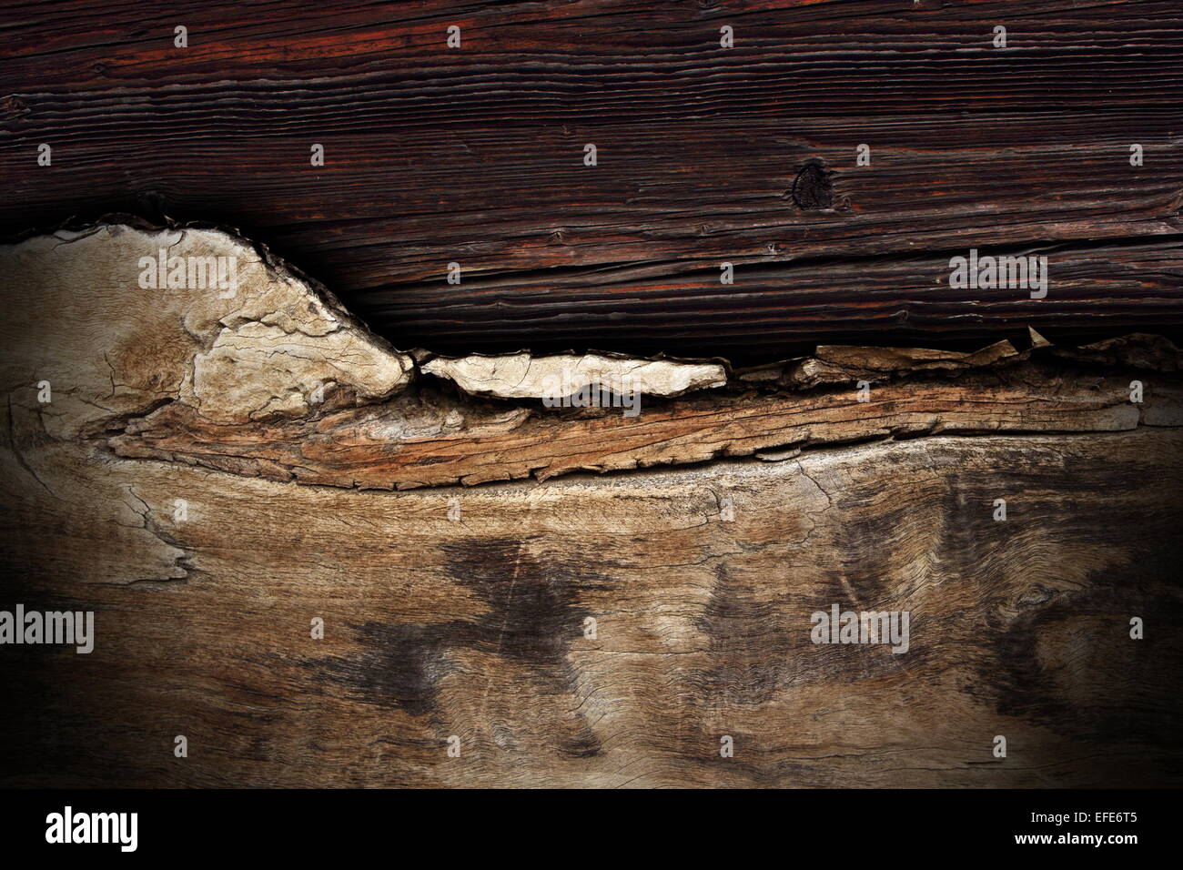 kombinierte abstrakte Holz Texturen, Pappel mit Schatten auf Fichte plank Stockfoto