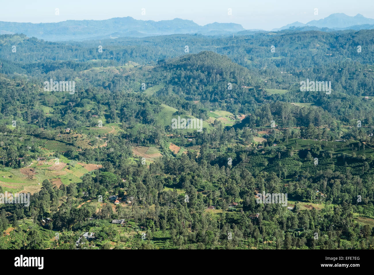 Zug, Reise, Reise durch die Teeplantagen, Landschaft im Hochland von Ella nach Kandy, Sri Lanka, Stockfoto