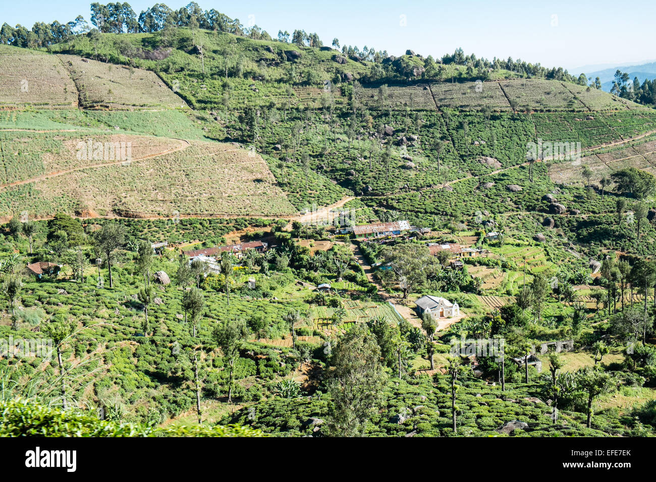 Zug, Reise, Reise durch die Teeplantagen, Landschaft im Hochland von Ella nach Kandy, Sri Lanka, Stockfoto