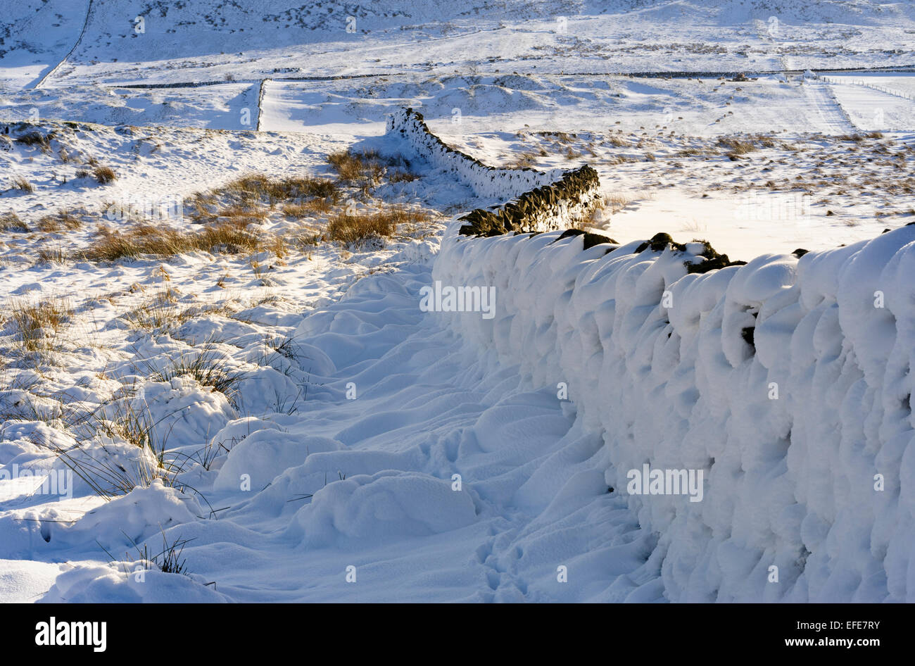 Trockenmauer im winter Stockfoto