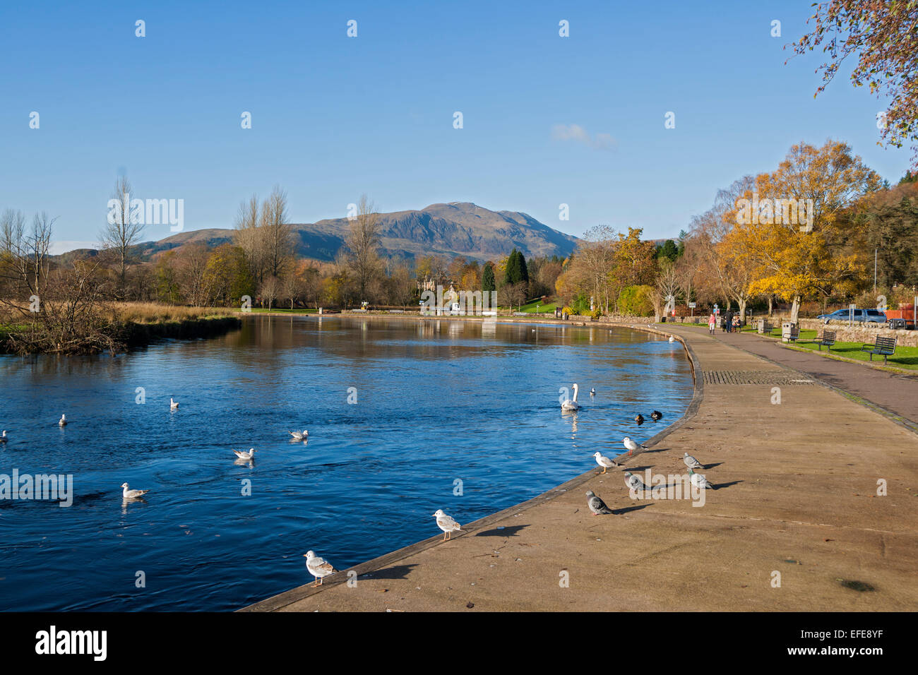 Callander; Fluss; Teith; Ben; Ledi; Stirlingshire; Trossachs; Schottland, Großbritannien Stockfoto