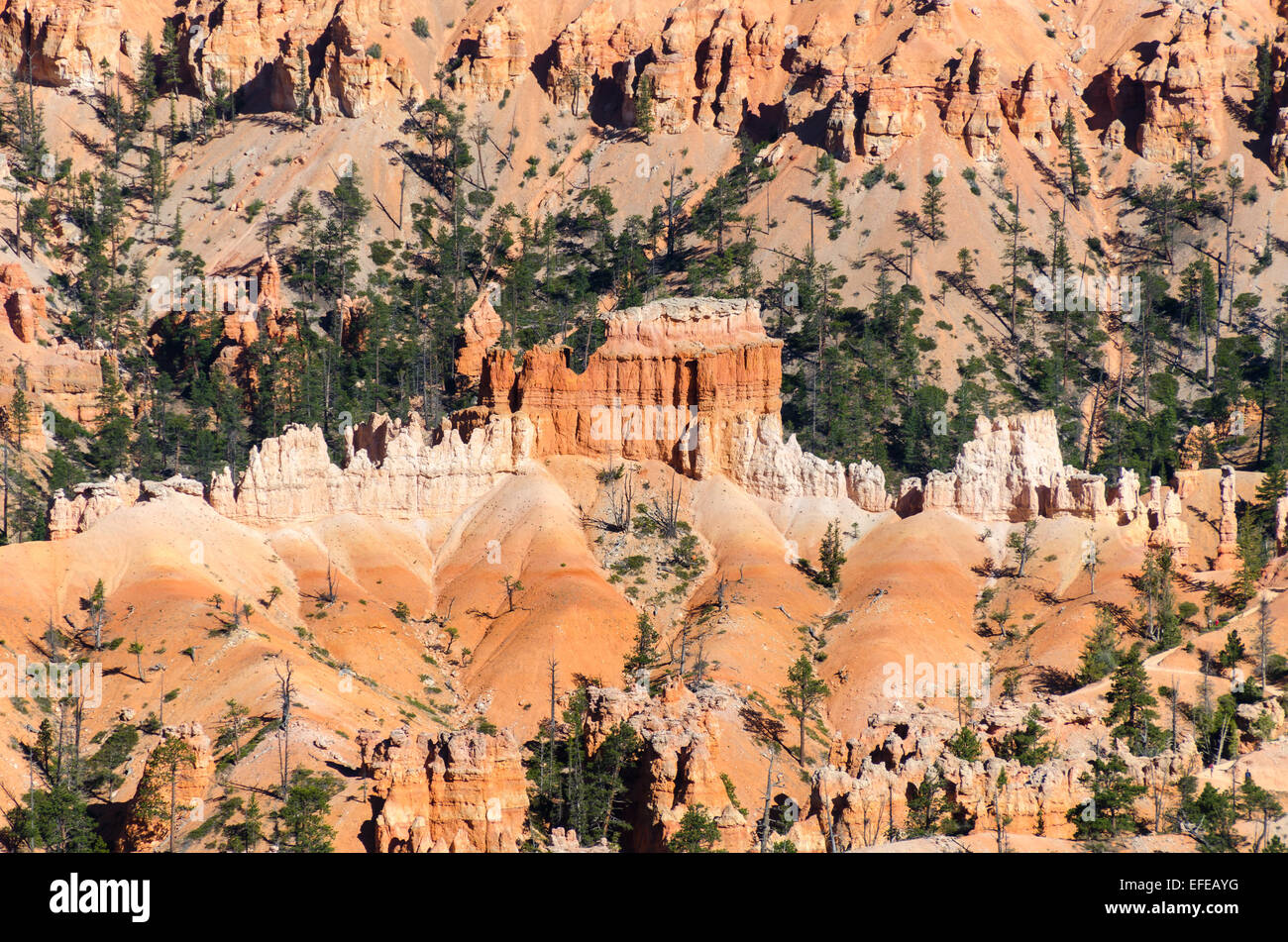 Bryce Canyon National Park in Utah Stockfoto