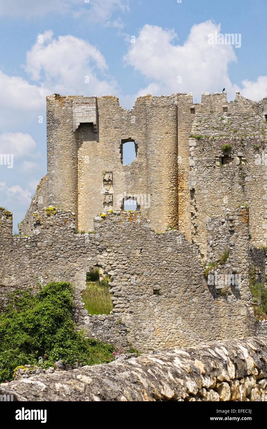 Burgruine am Winkel Sur l'Anglin, Vienne, Frankreich. Stockfoto