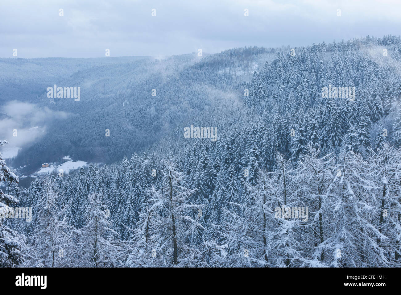 Schwarzwald im Winter, Bad Wildbad, Kurort, Blick vom Sommerberg, Deutschland, Stockfoto