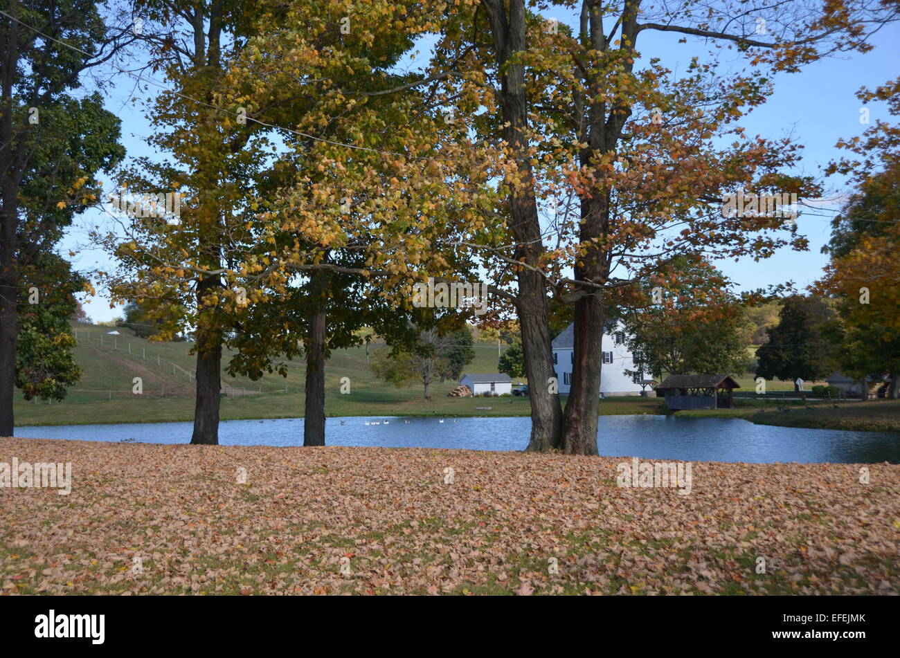 HERBST DIE ATEMBERAUBENDE SCHÖNHEIT Stockfoto