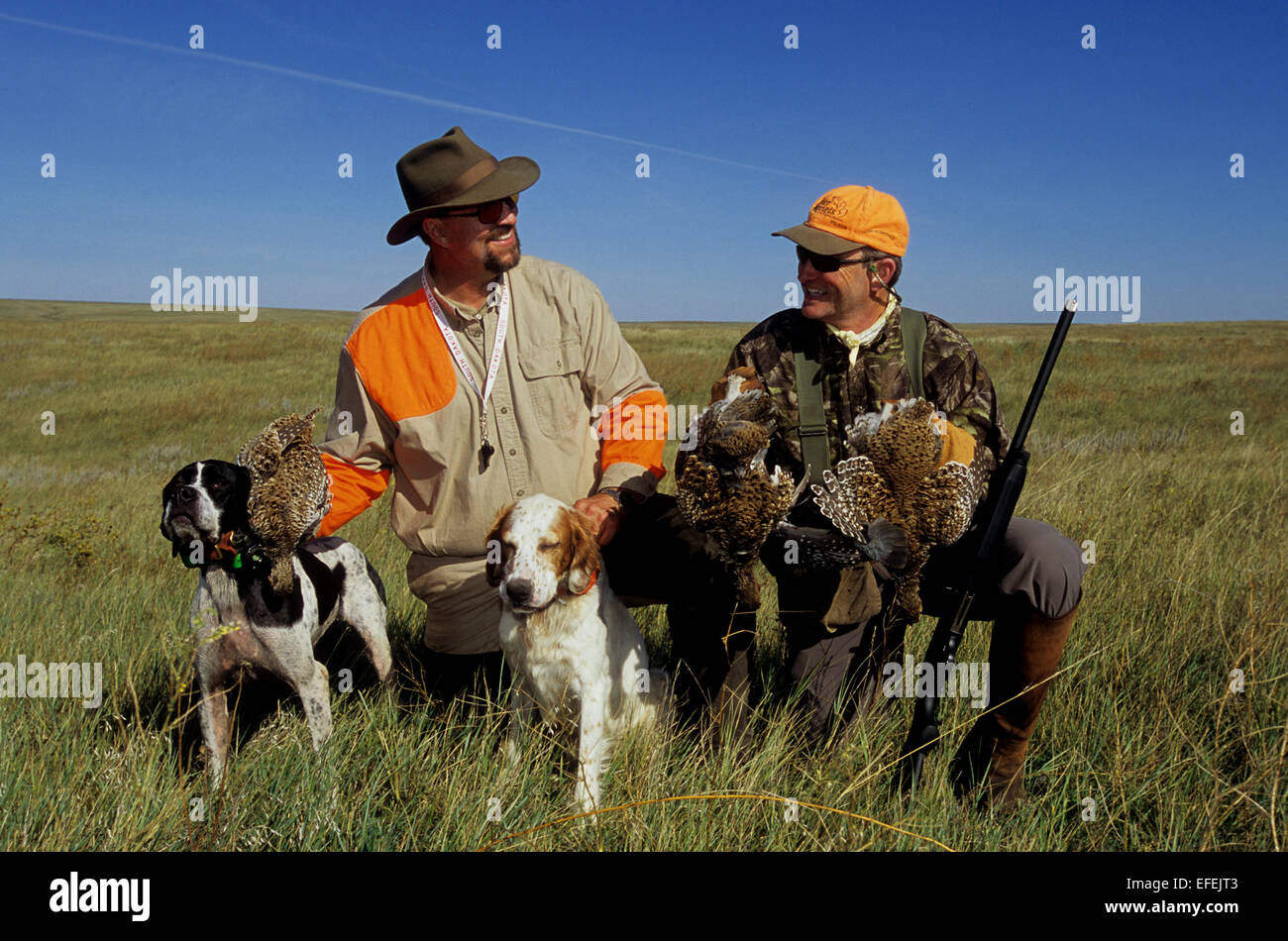 Jäger und Hunde mit Sharp-tailed Grouse (Tympanuchus Phasianellus) während der Jagd auf die Prärie in der Nähe von Pierre, South Dakota Stockfoto
