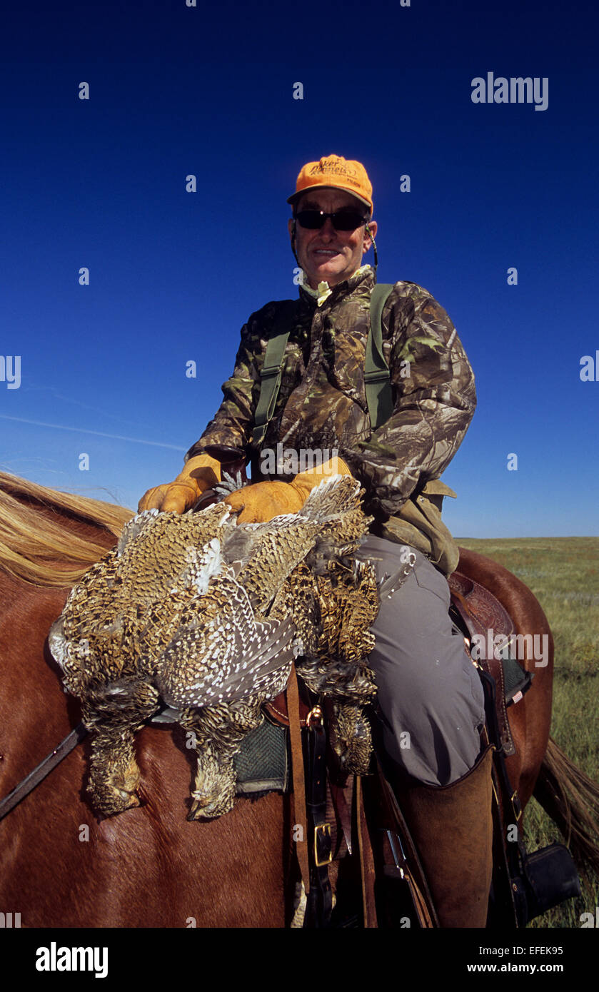 Ein Jäger zu Pferde mit Sharp-tailed Grouse (Tympanuchus Phasianellus) während der Jagd auf die Prärie in der Nähe von Pierre, South Dakota Stockfoto