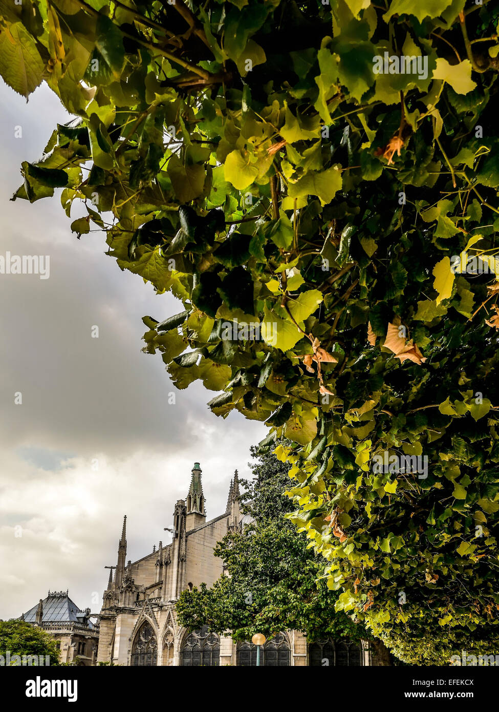 Kathedrale Notre-Dame in Paris, Frankreich Stockfoto