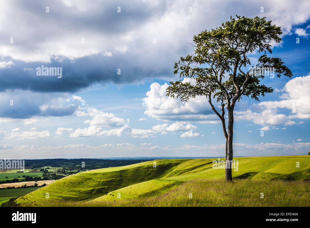 Der Blick von Roundway Hill und der Eisenzeit Burgstätte von Olivers Castle in der Nähe von Devizes in Wiltshire. Stockfoto