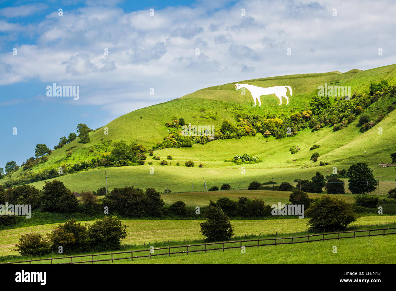 Das weiße Pferd unter Bratton Camp, eine Eisenzeit Burgberg in der Nähe von Westbury in Wiltshire. Stockfoto