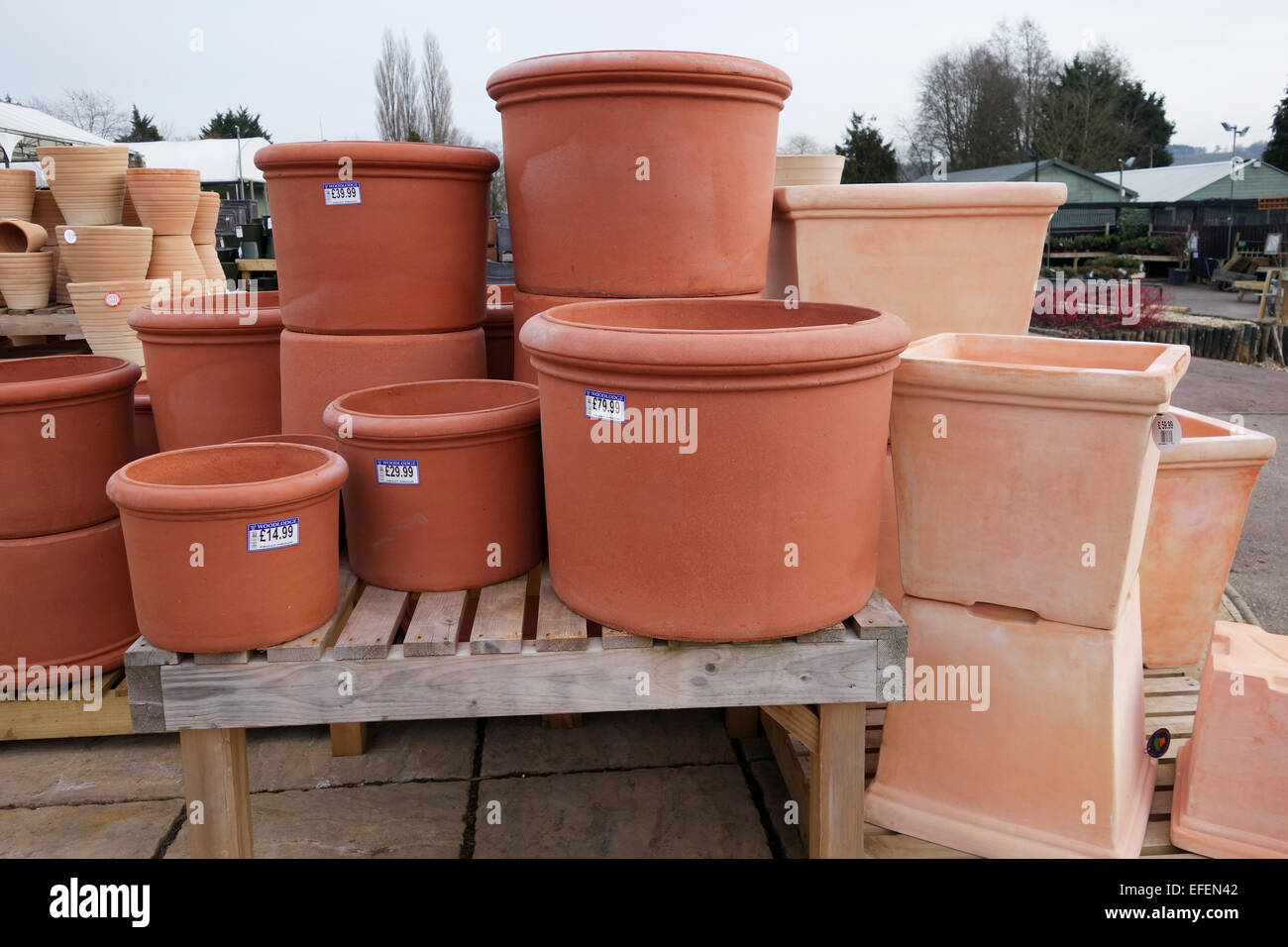 Terrakottatöpfe Garten zum Verkauf an eine UK-Gartencenter Stockfoto