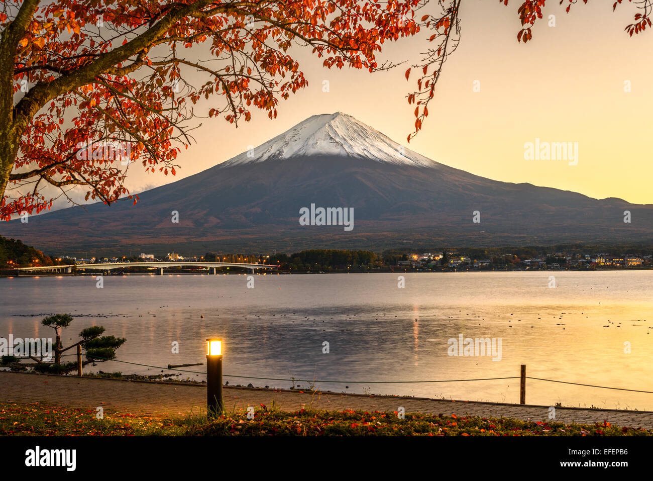 Mt. Fuji mit Herbstlaub in Kawaguchi-See in Japan. Stockfoto