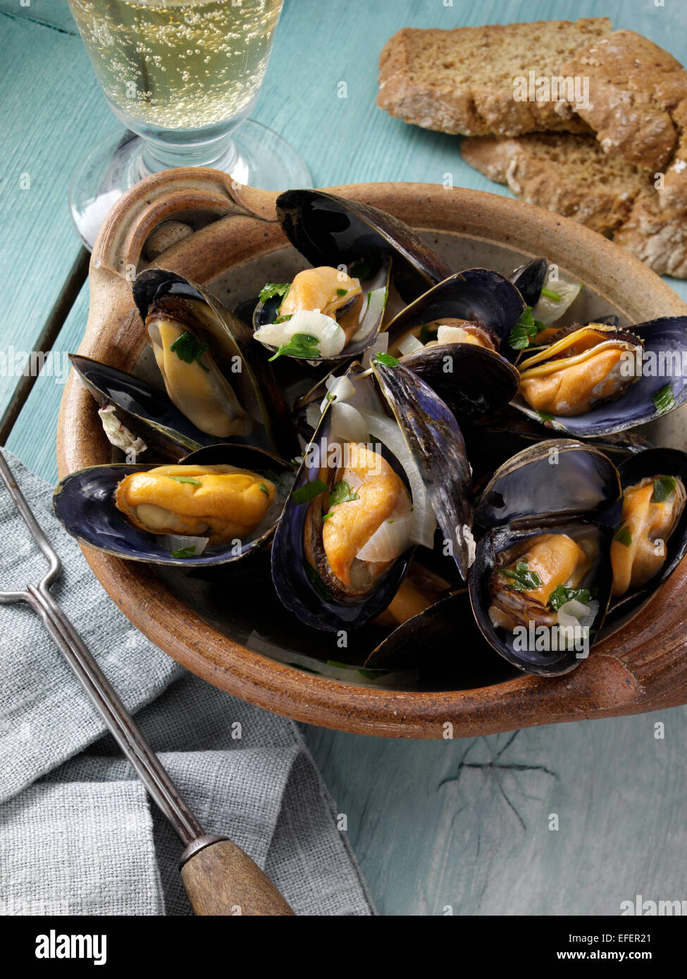 Muscheln Stockfoto