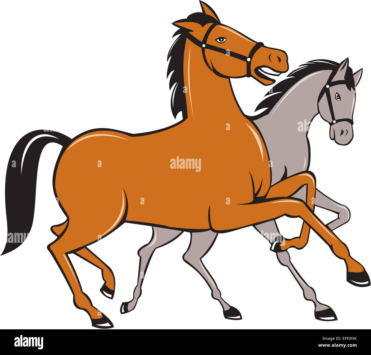 Illustration von zwei Pferden tänzelnden nebeneinander gesetzt auf isolierten weißen Hintergrund im Cartoon-Stil gemacht. Stockfoto