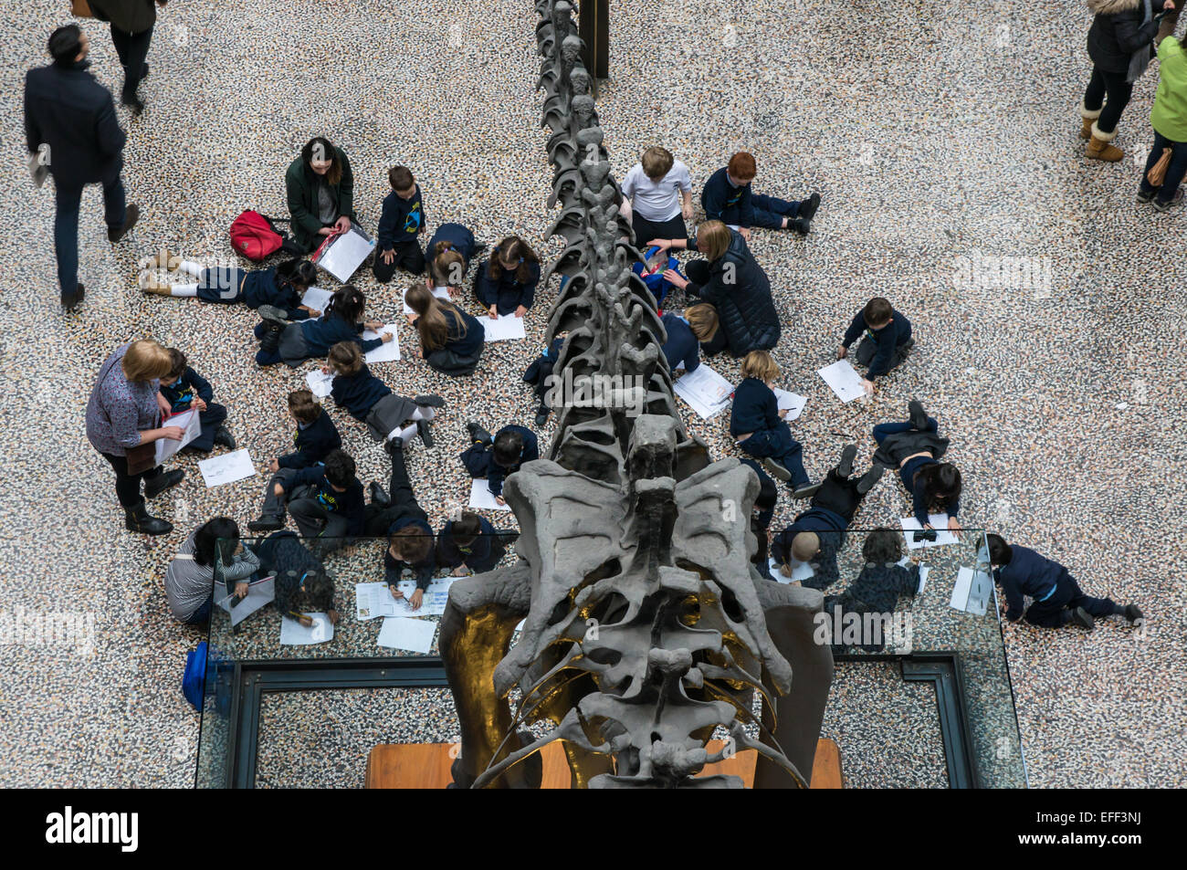 Schülerinnen und Schüler besuchen Natural History Museum in London England Vereinigtes Königreich Großbritannien Stockfoto