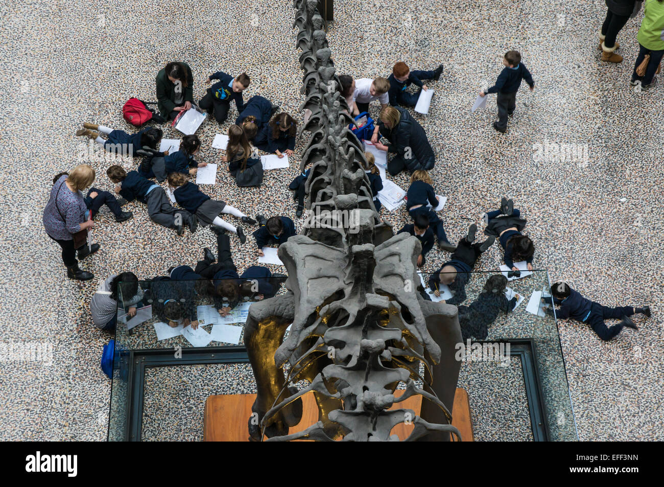 Schülerinnen und Schüler besuchen Natural History Museum in London England Vereinigtes Königreich Großbritannien Stockfoto