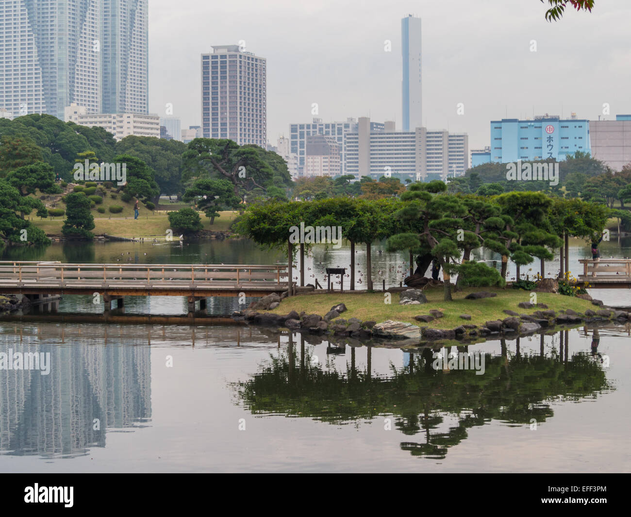 Hama-Rikyu Onshi-Teien Teich Insel und Brücke im Wasser gespiegelt Stockfoto