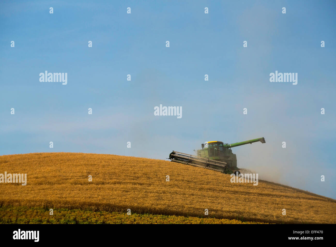 Ernte von Getreide im August in den goldenen Feldern der Palouse Region Washington kombiniert. USA Stockfoto