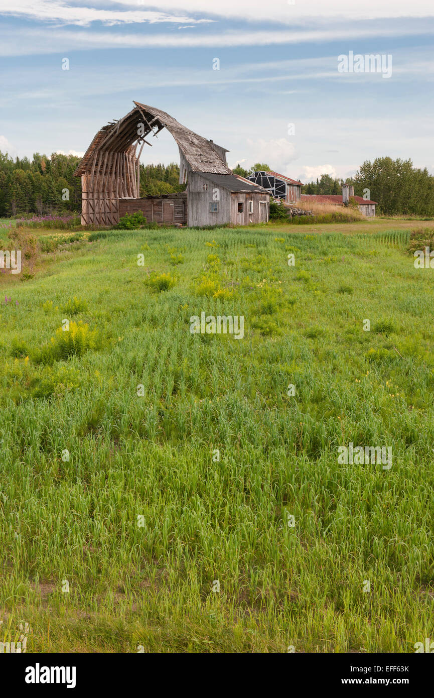 Ruinen eines alten verlassenen Scheune, Kamouraska Region, Provinz Quebec, Kanada. Stockfoto